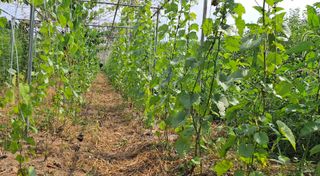 이정운님의 기타작물 · 자유게시판 작성글 사진