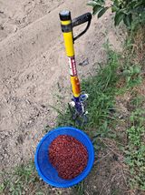 팜모닝 콩·자유게시판 게시글 이미지