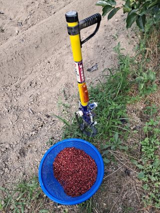 하산주님의 콩 · 자유게시판 작성글 사진