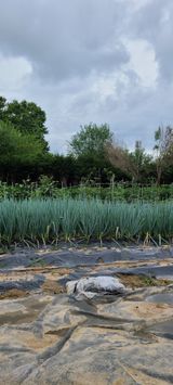 팜모닝 파·자유게시판 게시글 이미지