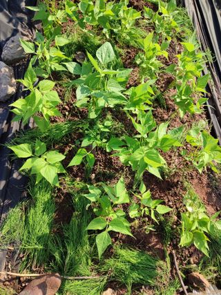 정미영님의 자유주제 · 자유게시판 작성글 사진