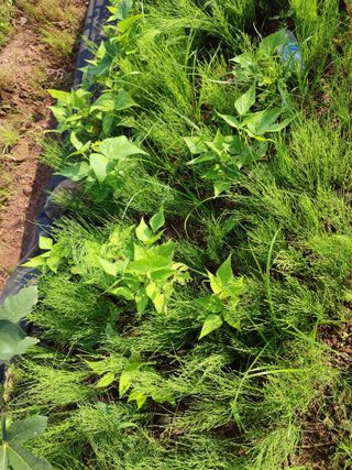 정미영님의 자유주제 · 자유게시판 작성글 사진