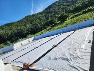 정 미라님의 고추 · 시세•판로 작성글 사진