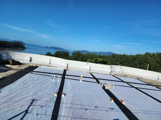 정 미라님의 고추 · 시세•판로 작성글 사진