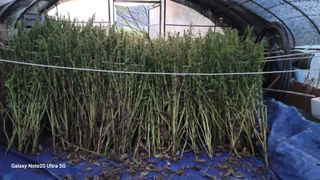 박인선님의 참깨 · 자유게시판 작성글 사진