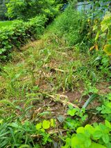 팜모닝 옥수수·자유게시판 게시글 이미지