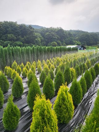 장두학님의 작성글 사진