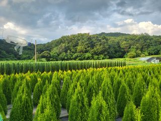 장두학님의 작성글 사진