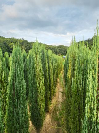 장두학님의 작성글 사진