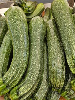 박명철님의 토마토 · 영농일지 작성글 사진