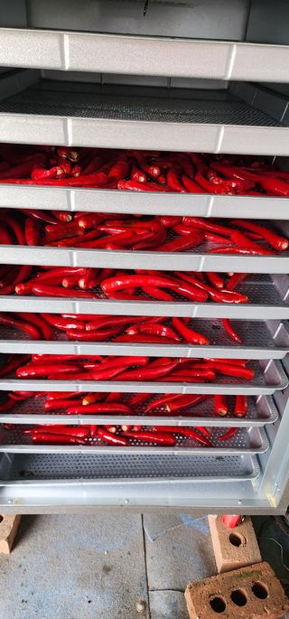 삽질하자님의 자유주제 · 자유게시판 작성글 사진