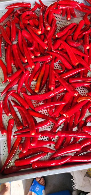 삽질하자님의 자유주제 · 자유게시판 작성글 사진