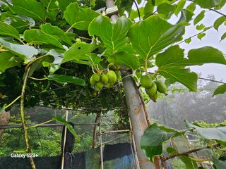 신강우님의 기타작물 · 자유게시판 작성글 사진