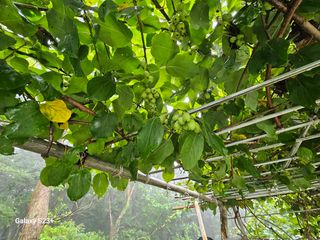 신강우님의 기타작물 · 자유게시판 작성글 사진