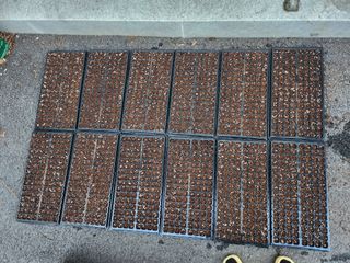 손정아님의 자유주제 · 자유게시판 작성글 사진