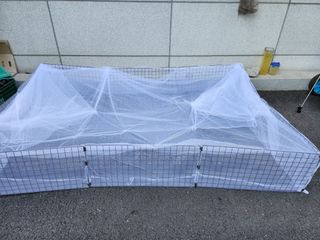 손정아님의 자유주제 · 자유게시판 작성글 사진