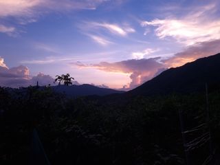 남원 윤형선님의 자유주제 · 자유게시판 작성글 사진