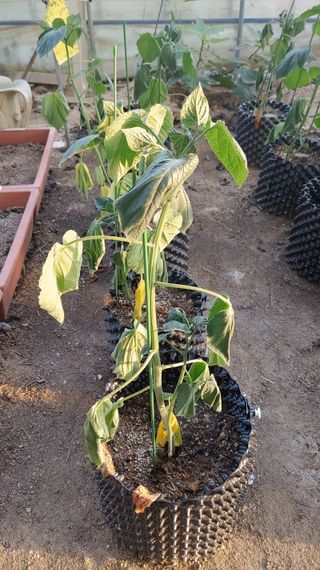 신승우님의 기타작물 · 자유게시판 작성글 사진