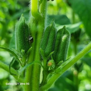 가야산자락한수덕님의 기타작물 · 자유게시판 작성글 사진