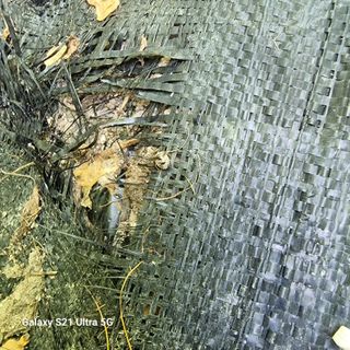 가야산자락한수덕님의 기타작물 · 자유게시판 작성글 사진