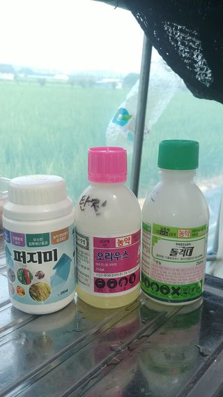 왕차이님의 고추 · 영농일지 작성글 사진