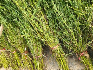 임애자님의 자유주제 · 자유게시판 작성글 사진