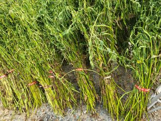 임애자님의 자유주제 · 자유게시판 작성글 사진