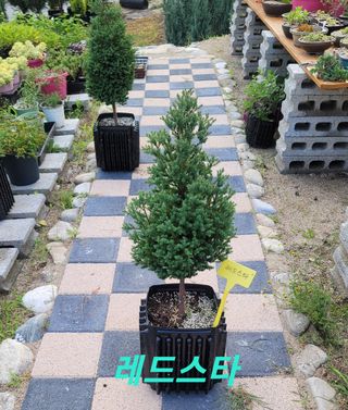 이선미님의 작성글 사진