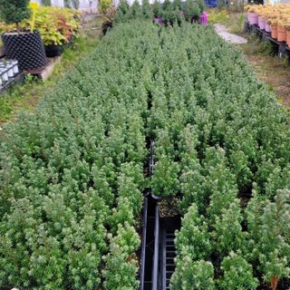 이선미님의 작성글 사진