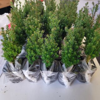 이선미님의 작성글 사진