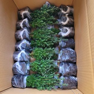 이선미님의 작성글 사진