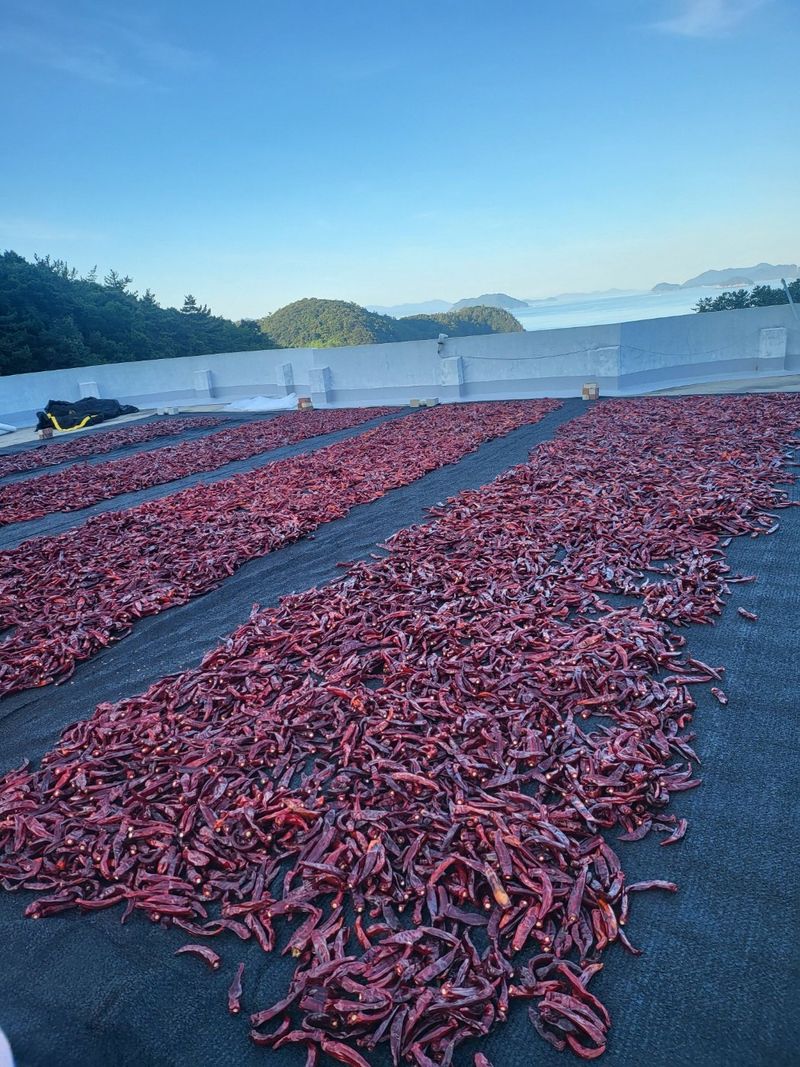 고추농사 정 미라님의 장터 판매 상품 [고추가루 1근(600그램)] 첨부 사진