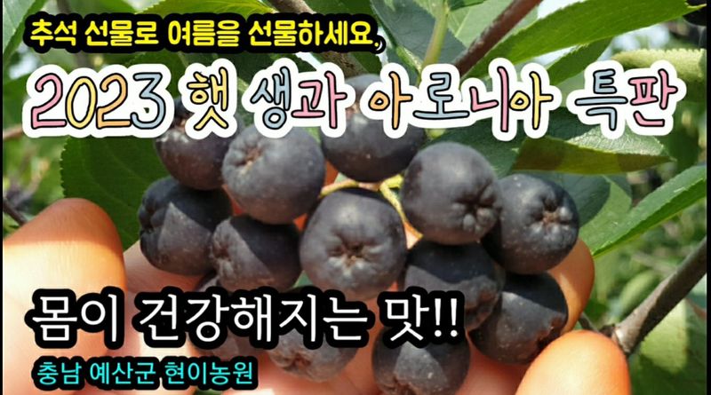 농부아내님의 장터 판매 상품 [몸이 건강해지는 맛, 햇생과 아로니아 10kg] 첨부 사진