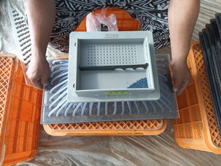 신현주님의 배추 · 파종•정식 작성글 사진