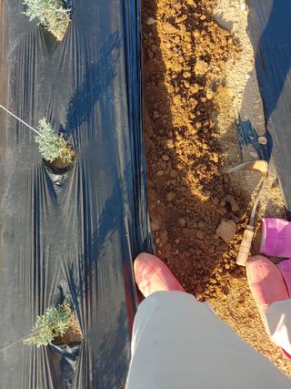 블루아이스님의 기타작물 · 자유게시판 작성글 사진