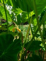 팜모닝 자유주제·자유게시판 게시글 이미지