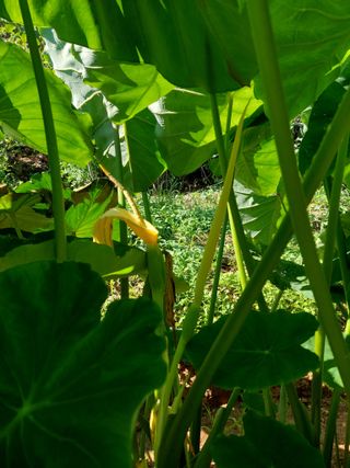 정규상님의 자유주제 · 자유게시판 작성글 사진