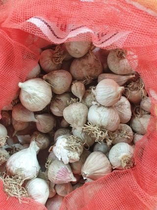 전원수님의 작성글 사진