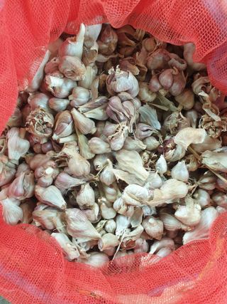 전원수님의 작성글 사진