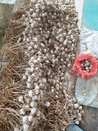 전원수님의 작성글 사진