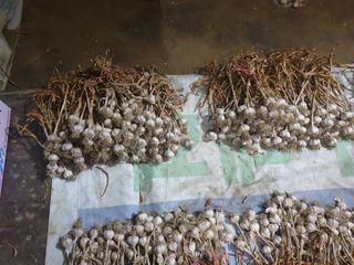 전원수님의 작성글 사진