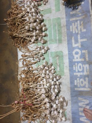 전원수님의 작성글 사진