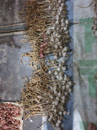 전원수님의 작성글 사진