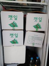 팜모닝 들깨·자유게시판 게시글 이미지