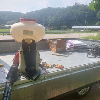 강원도 횡성군님의 콩 · 자유게시판 작성글 사진