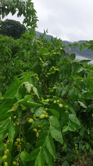 신평식님의 기타작물 · 자유게시판 작성글 사진