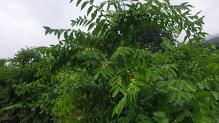 신평식님의 기타작물 · 자유게시판 작성글 사진