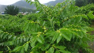 신평식님의 기타작물 · 자유게시판 작성글 사진