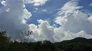 Qqww112233님의 자유주제 · 자유게시판 작성글 사진