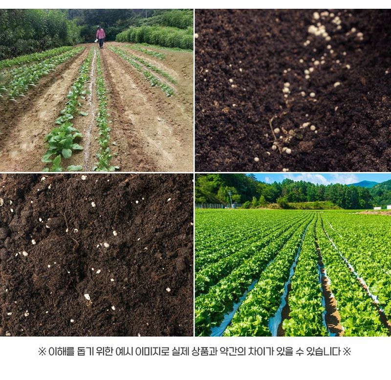 아그로플랜트님의 장터 판매 상품 [알알이 / 더쎈미니 입제 수동 살포기] 첨부 사진